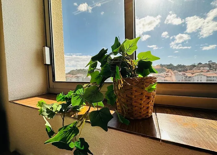 Free Parking, Proche Gare, Plage, Centre, Netflix * 아르카숑